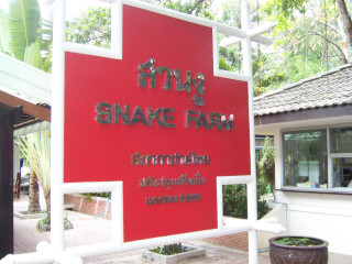 Snake Farm - Queen Saovabha Memorial Institute