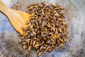 Fried insects as snack