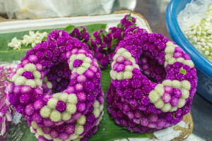 pak klong flower ring bangkok